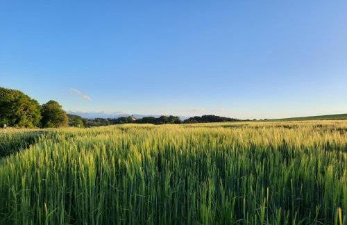 Moarhof Holzhausen - Foto 15