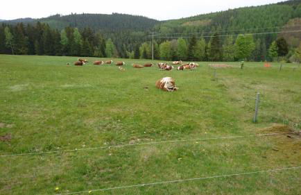 Gasthaus Piesau - Thüringer Wald - Rennsteig - Foto 79