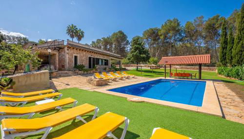 El Bosque Candy - Foto 4