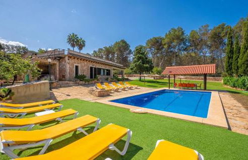 El Bosque Candy - Foto 4