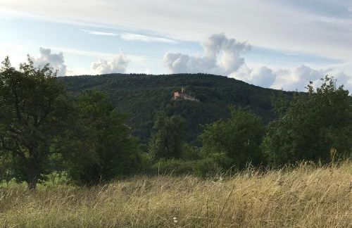 Ferienwohnung Wanderlust - Foto 10