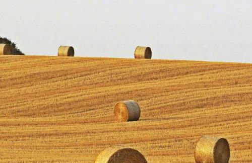 Casa Costanza - Foto 23