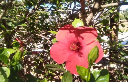 VILLA TREROSE by Trerose Properties - Villa centrale con wi-fi e posto auto privato gratuiti - Foto 20