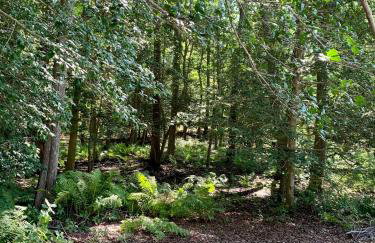 Sai Villa on Maurice River - Foto 32