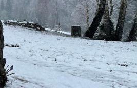 Apartamenty Carpe Diem - Photo 62