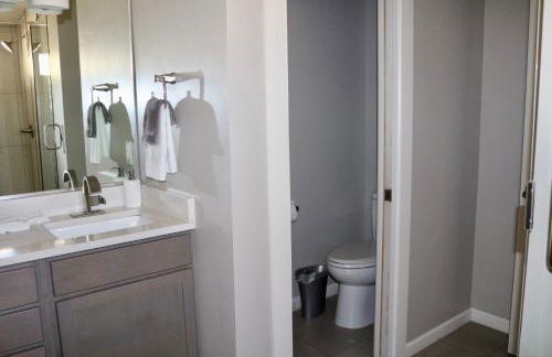 Modern Mini Golf Oasis - Foto 38