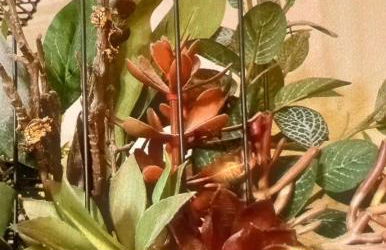 Zen Den Studio - Foto 55