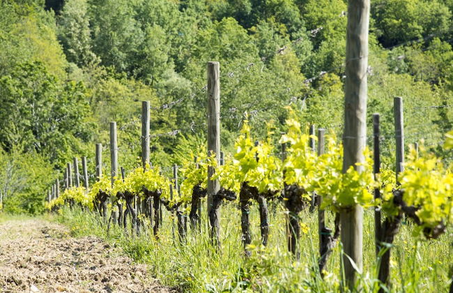 Agriturismo Il Serraglio - Foto 76