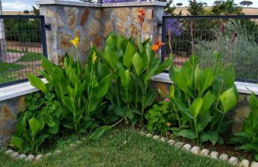 Casa rural los Cuartos - Foto 8