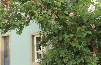 Nengshof Ferienwohnungen Pusteblume und Butterblume - Foto 8