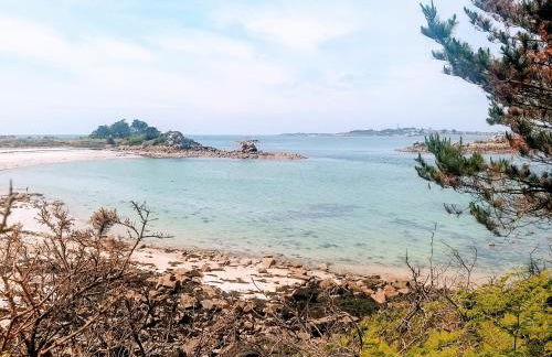 Maison avec vue mer à Saint-Pol-de-Léon - Foto 17