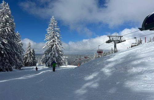 Berghof Almzeit - Fewo "Philosophenstüble", Sauna, Todtnauberg, Feldberg - Foto 27