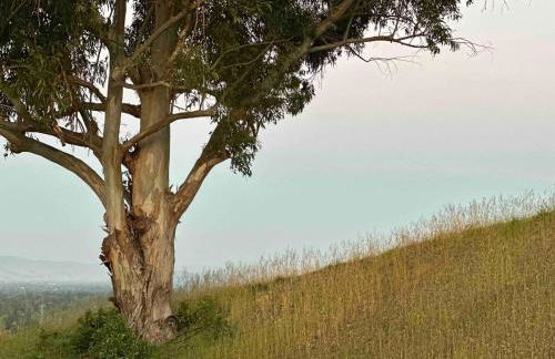 Cozy Home in Saratoga - Foto 20