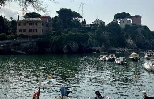 Harbour House CITRA 010025-LT-3472 - Foto 26