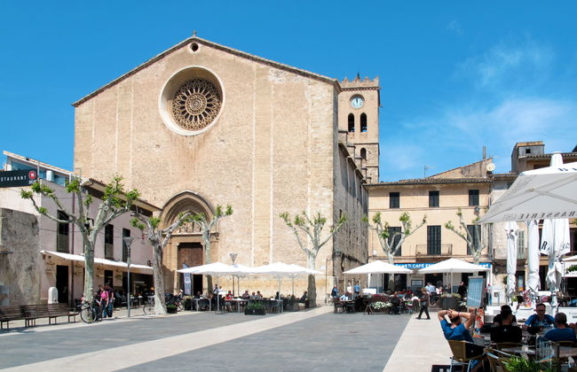 Ullastro Pollença - Foto 41