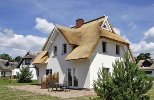 Haffmuschel - Foto 1