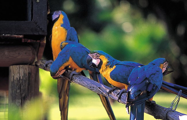 Selwo Aventura - Estepona - Photo 5