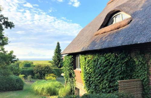 Pommernhof am Stettiner Haff - Foto 5