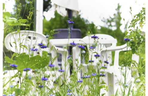 Le Gîte des Cimes - Foto 23