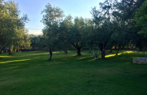 Anastasios Olive Garden Apartments - Foto 39