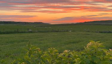 Bayview Cottage, Dunnetbay accommodation - Foto 3