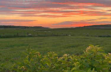 Bayview Cottage, Dunnetbay accommodation - Foto 3