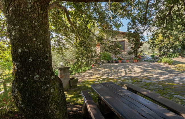 Fonte al Tesoro - Foto 30