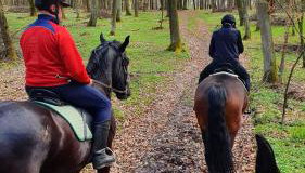 Apartament Pod Skarpą z balią Wieżyca - Foto 2