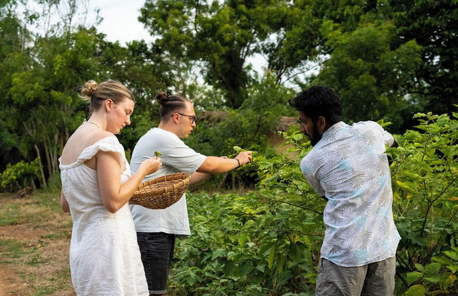 River Paradise Safari House with Cooking Class - Photo 18