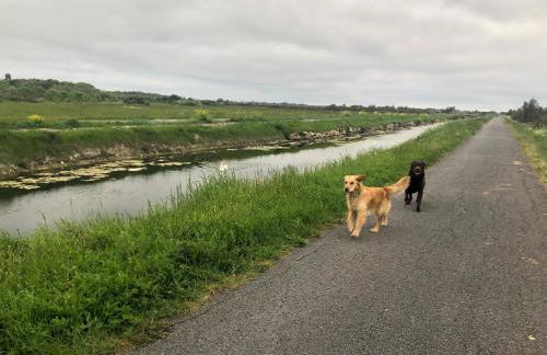 Les Fleurs De Lys, Villa Chic L'enclos Des Lys, Proche de la Mer - Foto 36