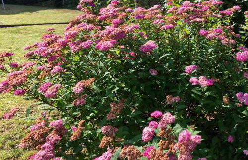 Apartmenthaus RuheZeit - Foto 46