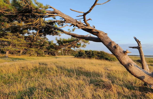 8 Person Holiday Home in Slagelse-by Traum - Foto 19