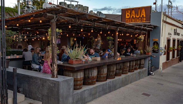 San Jose del Cabo Tour + Beer Tasting - Foto 3