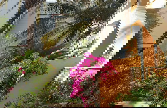 La bougain Villa - Photo 34