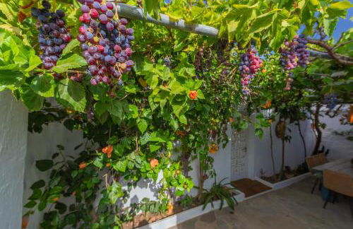 Casa Cortijo con piscina privada en Betis - Foto 40