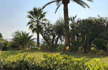 CANNES La Mirandole - Photo 1