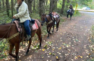 Rainier view farm stay cabin - Foto 9