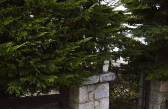 Malvazios Villas #2 - Foto 64