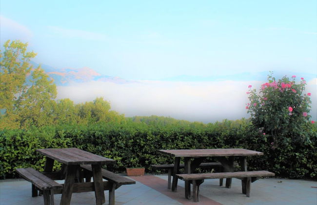 Le Coccole - Foto 13