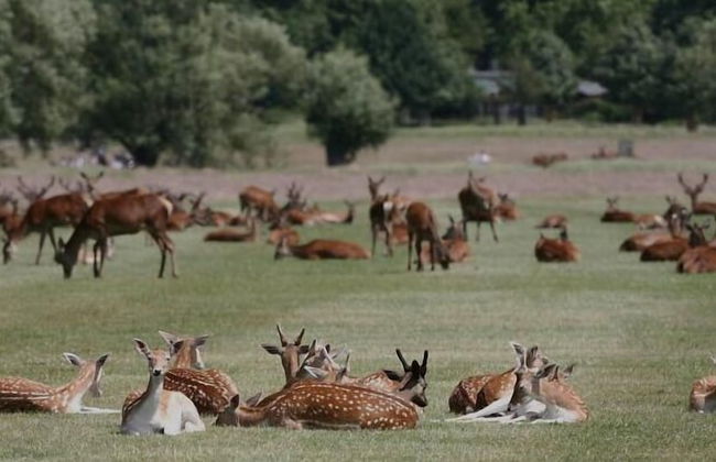 Comfy Kingston Central Garden House & Free Parking - Foto 46