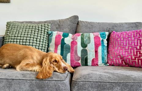 Willow's Lakeside Lodge With Hot Tub & Hi-Speed Wifi - Foto 13