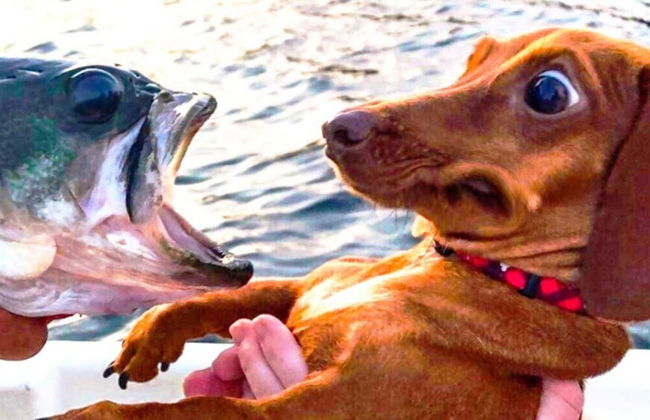 The Cottages of Lynchburg - Foto 75