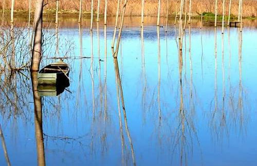 Casale Gli olivi di Dino - Foto 47