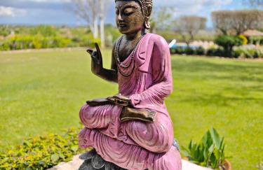 Finca RÚSTICA FELOSTAL Son Soleclau with Sauna & Pool - Foto 2