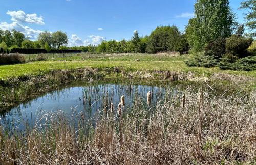 Villa Otolice obok Łowicza, 6 sypialni, balia, sauna, basen, snooker, 50 minut od Warszawy i Łodzi - Foto 39
