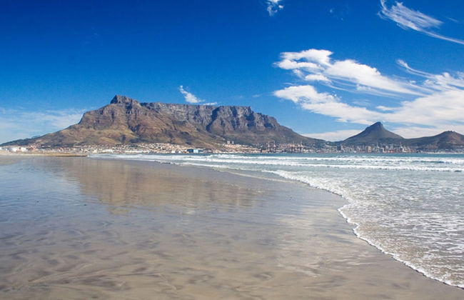 Leisure Bay 306 by CTHA - Photo 19