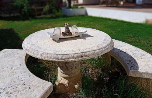 VILLA FALCONERA APARTAMENTS, GANDIA a las faldas de la montaña RELAX & PETS - Foto 61