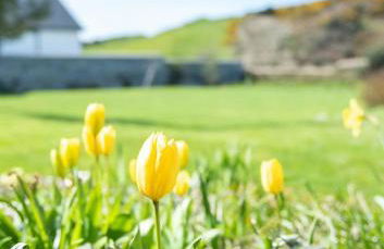 Old Vicarage Mortehoe Near Woolacombe 2 x sleeps 4 and 1 x sleeps 10 cottages - Foto 33