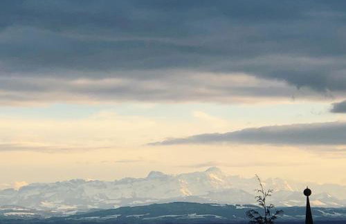 Blick ins Grüne - Foto 30