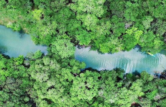 15 Son's Geronimo - Birdhouse Cabin - Foto 68